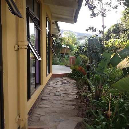 Jungle Monkey Backpackers Hostel Port Saint John's ภายนอก รูปภาพ