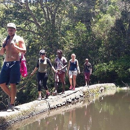 Jungle Monkey Backpackers Hostel Port Saint John's ภายนอก รูปภาพ