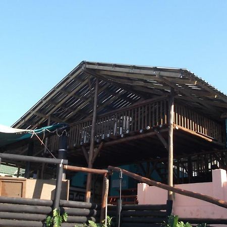 Jungle Monkey Backpackers Hostel Port Saint John's ภายนอก รูปภาพ