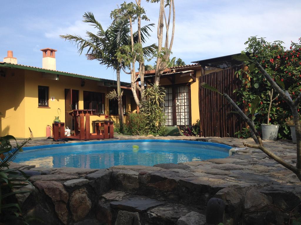 Jungle Monkey Backpackers Hostel Port Saint John's ห้อง รูปภาพ
