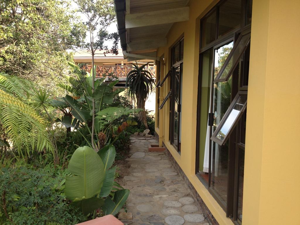 Jungle Monkey Backpackers Hostel Port Saint John's ห้อง รูปภาพ