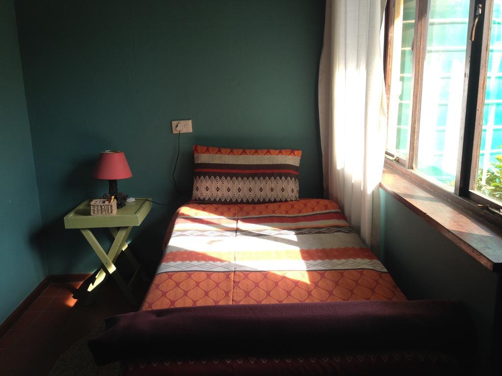 Jungle Monkey Backpackers Hostel Port Saint John's ห้อง รูปภาพ