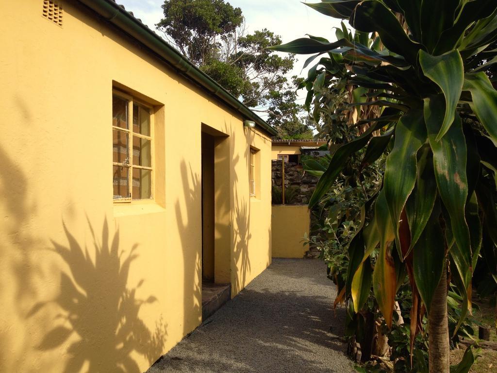 Jungle Monkey Backpackers Hostel Port Saint John's ห้อง รูปภาพ