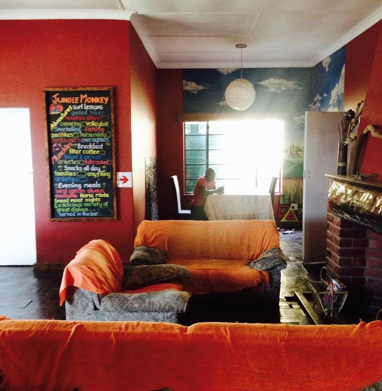Jungle Monkey Backpackers Hostel Port Saint John's ห้อง รูปภาพ