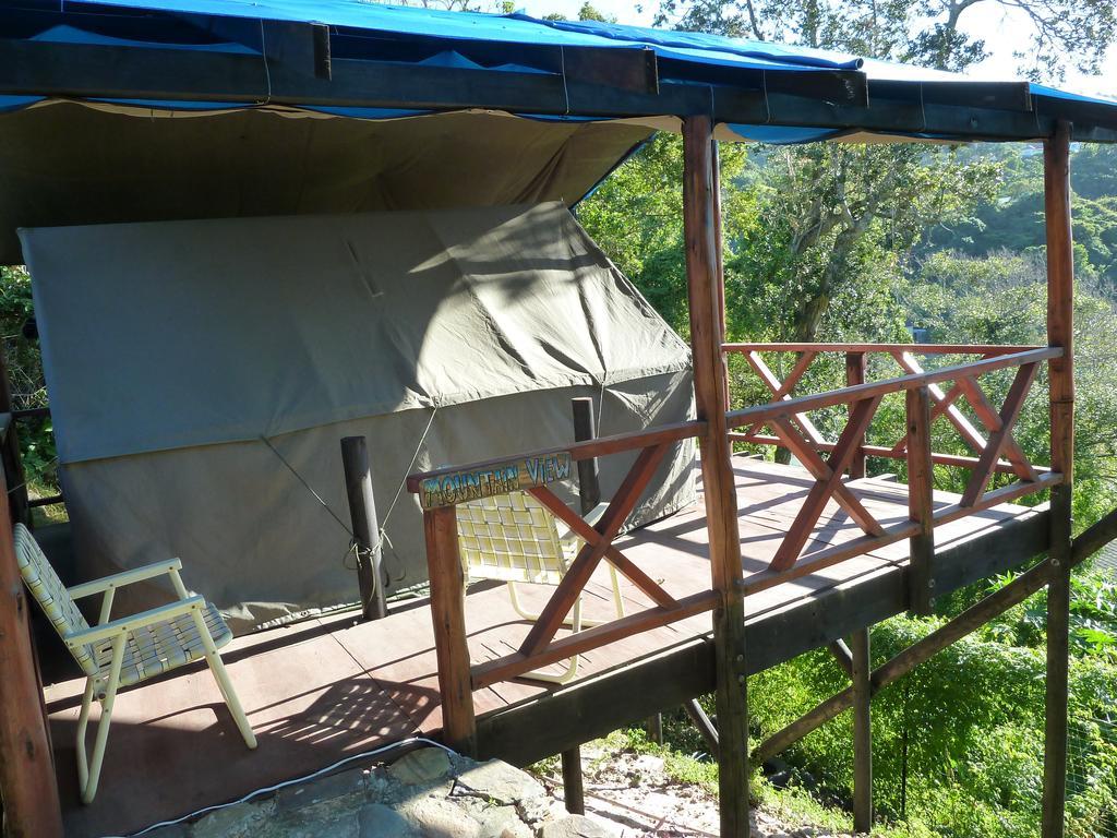 Jungle Monkey Backpackers Hostel Port Saint John's ห้อง รูปภาพ