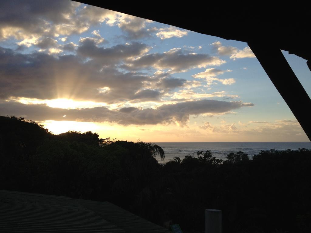 Jungle Monkey Backpackers Hostel Port Saint John's ภายนอก รูปภาพ