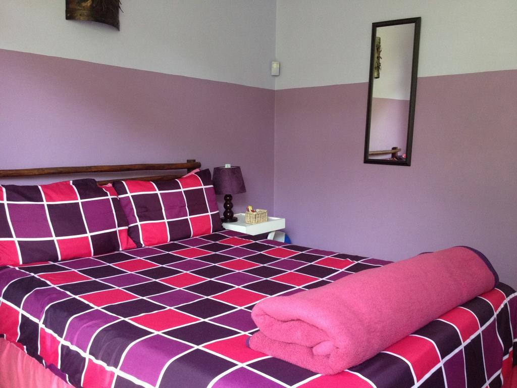 Jungle Monkey Backpackers Hostel Port Saint John's ห้อง รูปภาพ