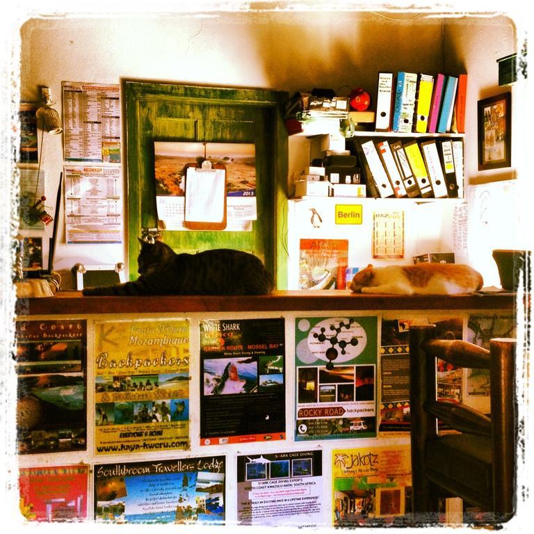 Jungle Monkey Backpackers Hostel Port Saint John's ภายนอก รูปภาพ