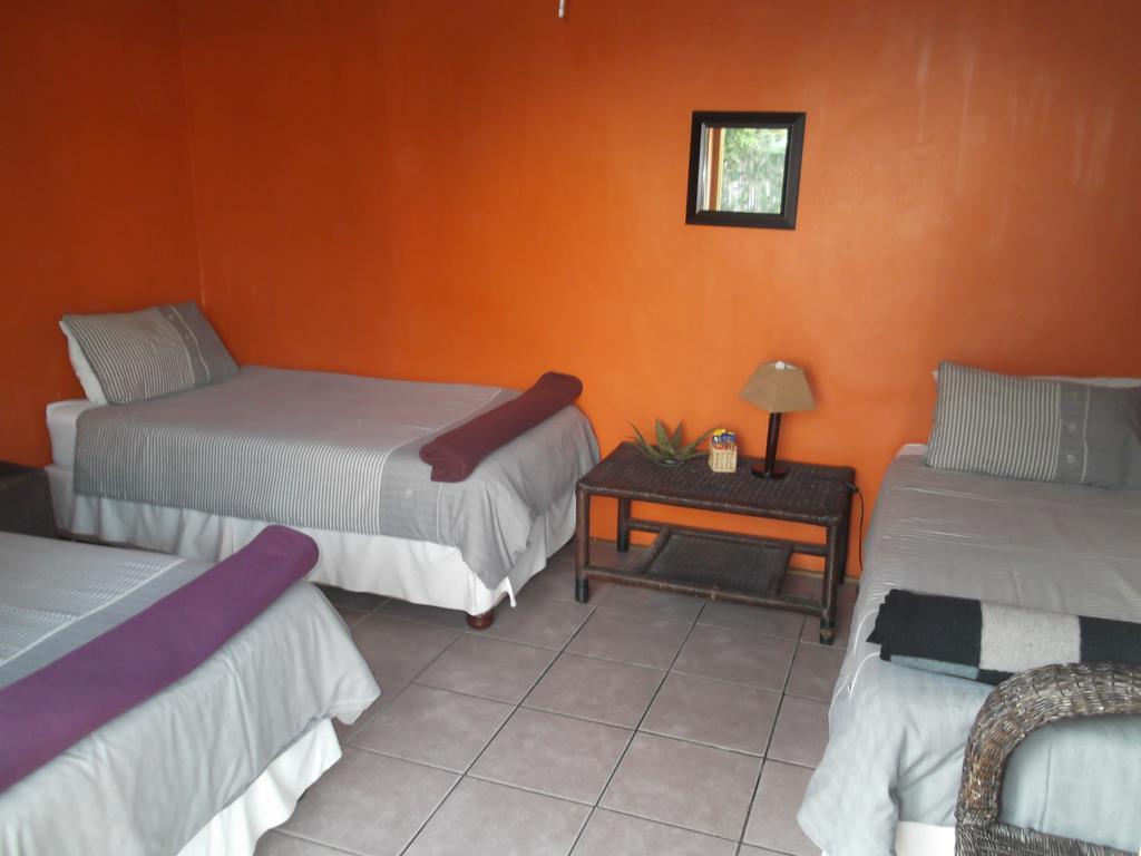 Jungle Monkey Backpackers Hostel Port Saint John's ภายนอก รูปภาพ